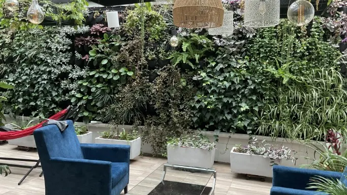Zona de jardín vertical remodelada en las oficinas de SGI