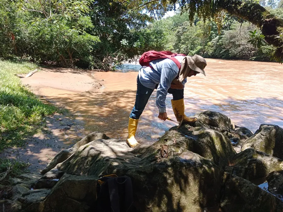 Rescate de fauna íctica en cuerpo de agua